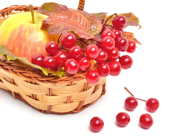 Rote Viburnum-Beeren und reifer Apfel im Korb — Stockfoto