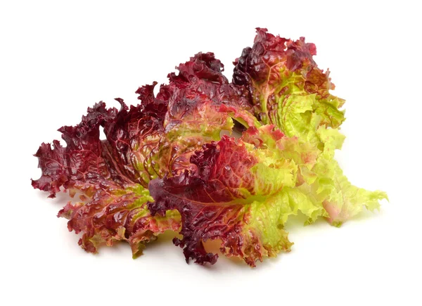 Frischer roter Salat isoliert auf weißem — Stockfoto