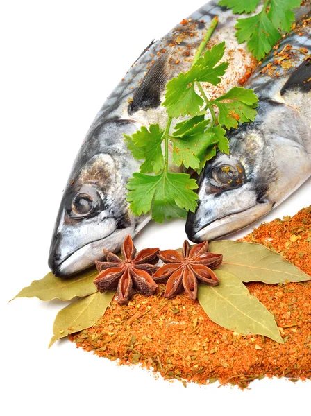 Fresh mackerel fish with parsleyand spices — Stock Photo, Image