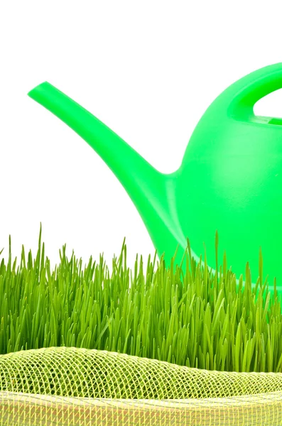 Konewka z tworzyw sztucznych i trawa zielona — Zdjęcie stockowe
