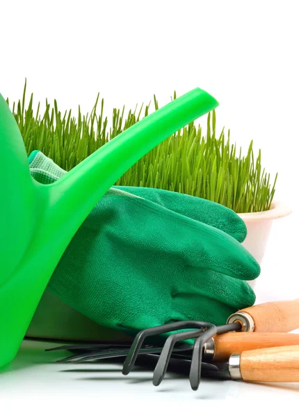 Watering-can, rake, pot, rubber gloves and green grass Royalty Free Stock Photos