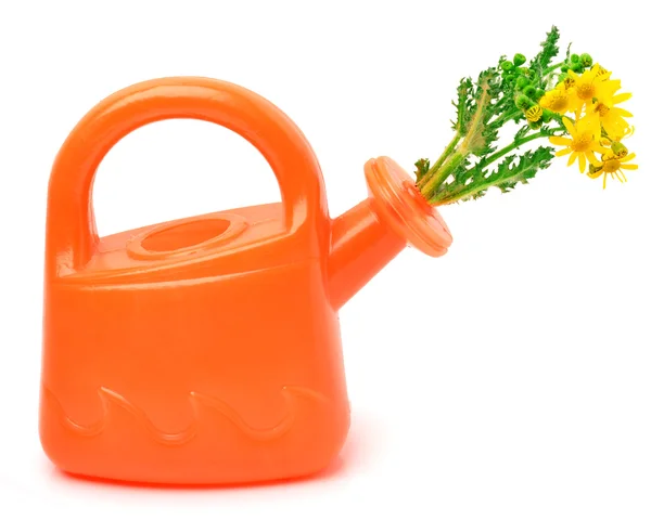 Orange plastic watering can with flowers — Stock Photo, Image