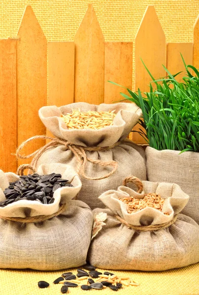 Wheat grains, oat grains and sunflower seeds in the cloth sacks — Stock Photo, Image