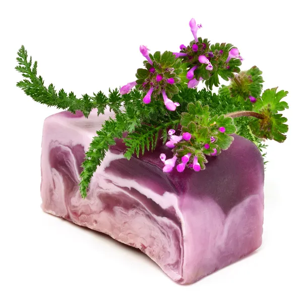 Natural handmade soap with herbs — Stock Photo, Image