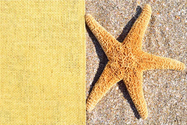 Starfish na areia e sackings — Fotografia de Stock