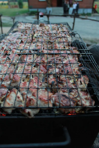 Barbekü veya Barbekü