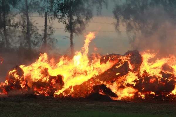 Paja ardiente — Foto de Stock