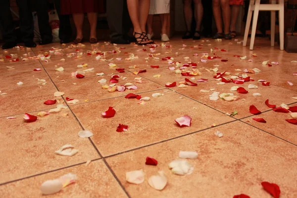 yaprakları gül ün çevresinde