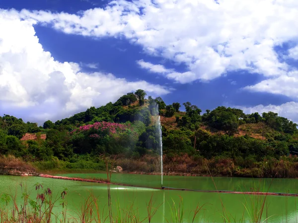 Pequena lagoa . — Fotografia de Stock