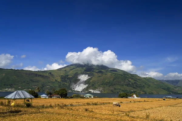 Сільської місцевості, острів samosir. — стокове фото