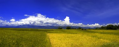 köy manzara panorama, samosir Adası.