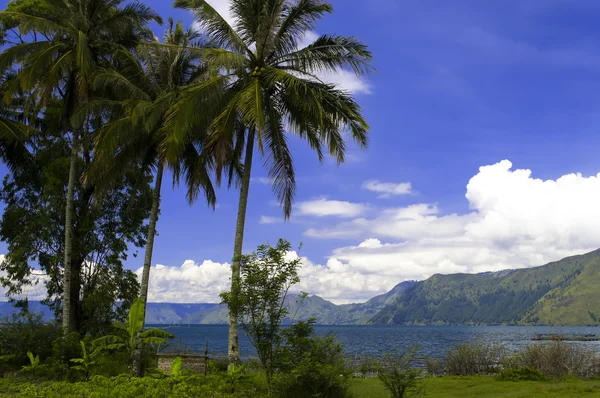 Krajina s palmami v pozadí jezero toba. — Stock fotografie