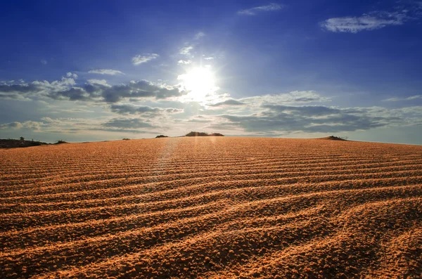 Red Sand Dunes. — Stock Photo, Image