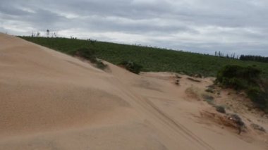 kum ve rüzgar. Kızıl kum tepeleri.