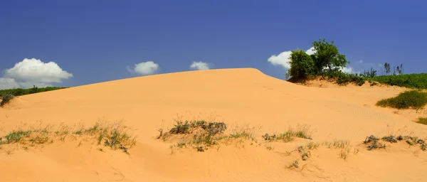 Sanddyner . – stockfoto