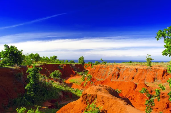 Canyon vermelho . — Fotografia de Stock