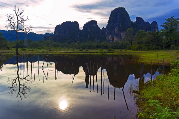 Reflexiones de Laos. Árbol viejo . —  Fotos de Stock
