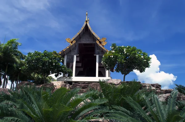 çiçekler, gök taşları, Milli.