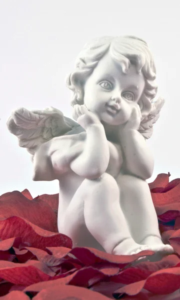 ???????????? ????????? ?????