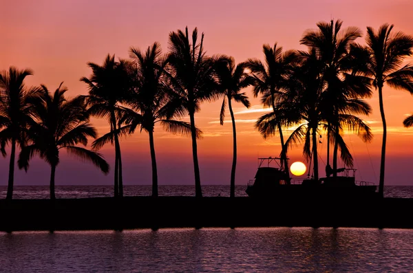 Sílhuetas do pôr do sol em Havaí — Fotografia de Stock