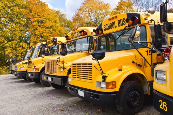 Gele schoolbussen — Stockfoto