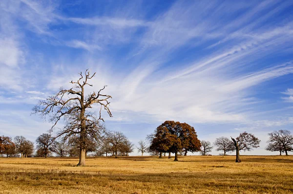 Pilvi muodostumista ja sininen Texas taivas — kuvapankkivalokuva