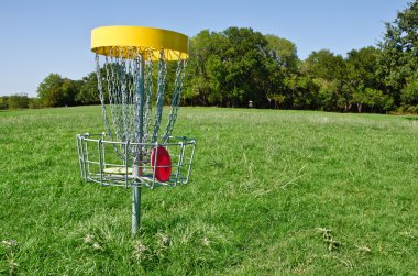 Disc golf delik