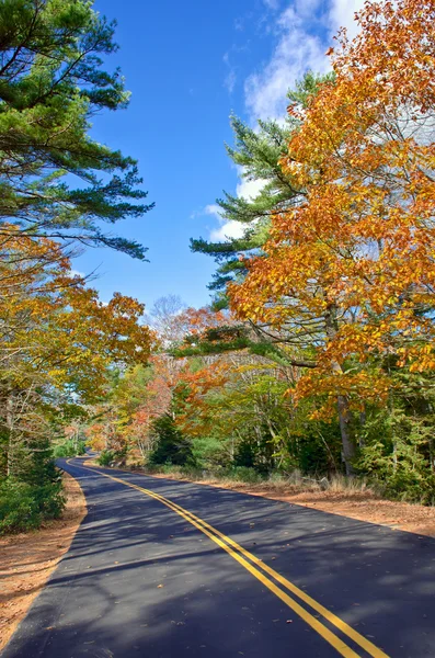 Slingrande hösten vägen — Stockfoto