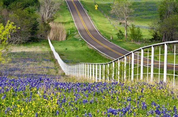 Texas bluebonnets yol kenarındaki — Stok fotoğraf