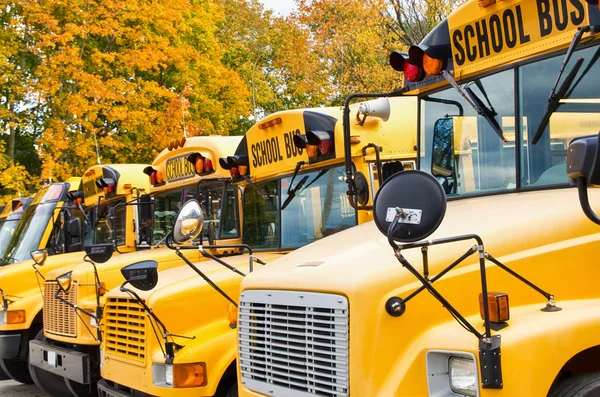 Rij van gele schoolbussen — Stockfoto