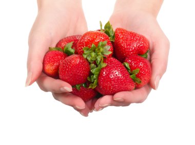 Hands holding fresh strawberries