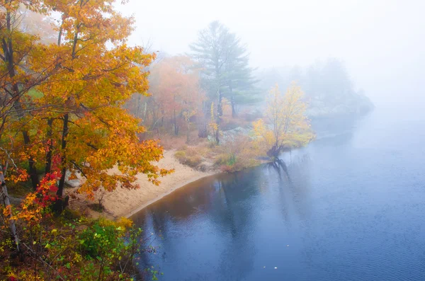 秋季雾天在一条河 — 图库照片