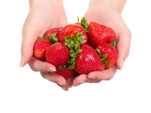 Hands holding fresh strawberries Stockfoto