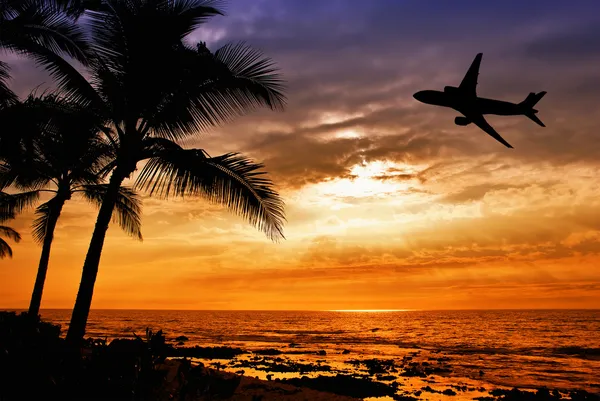 Atardecer tropical con siluetas de palmera y avión — Foto de Stock