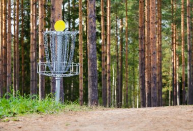 Disc golf delik