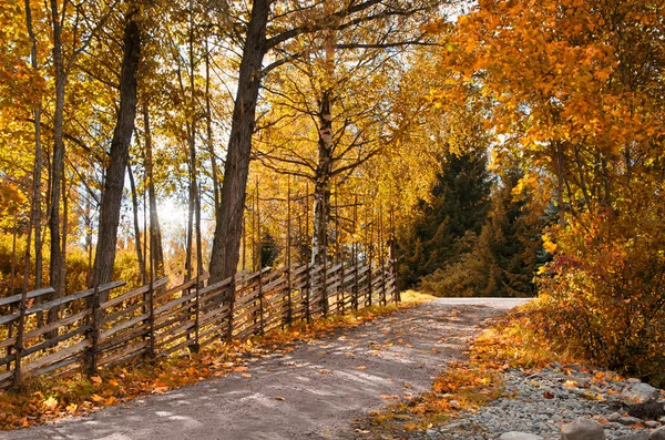 Valla antigua de poste redondo rodeada de árboles de otoño — Foto de Stock