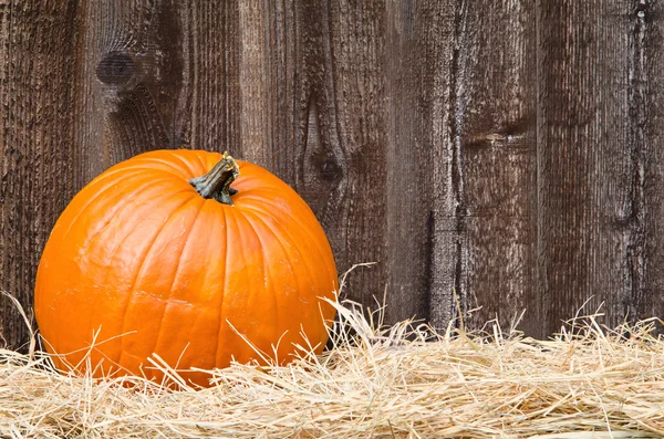 Pumpa på hö mot rustikt trä bakgrund — Stockfoto