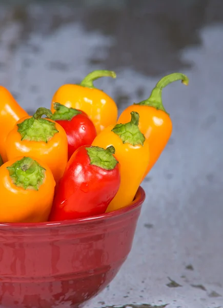 Sweet mini peppers in red bowl — Stock Photo, Image