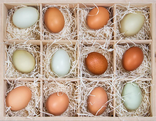 Assortiment d'œufs de poulet de différentes couleurs affichés dans une caisse en bois — Photo