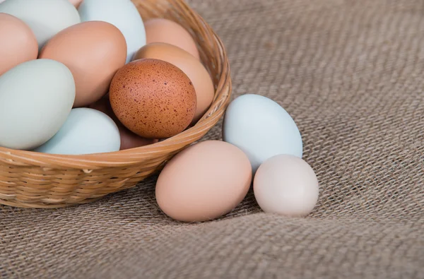 Свіжі, барвисті курячі яйця в кошику, крупним планом — стокове фото