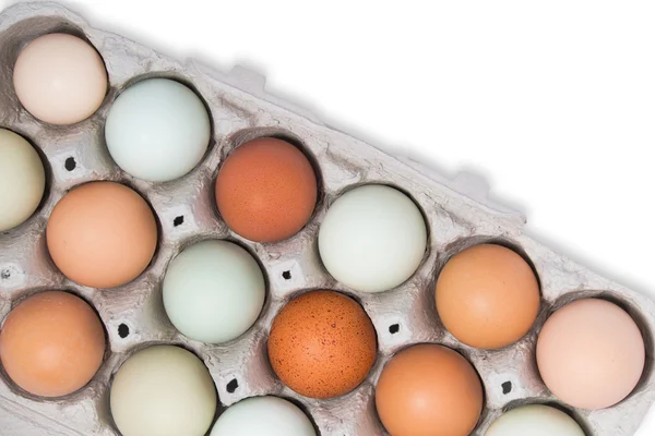 Surtido de diferentes colores, frescos, huevos de pollo en una bandeja — Foto de Stock