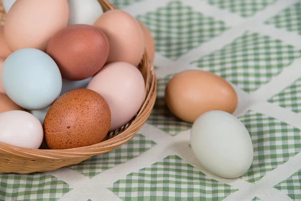 Свіжі, барвисті курячі яйця в кошику — стокове фото