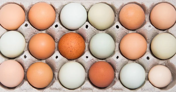 Uova di pollo colorate — Foto Stock