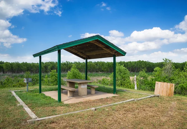 Park picnic area with grill