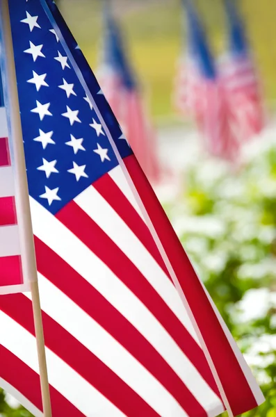 Row of American flags on street side — Stock Photo, Image