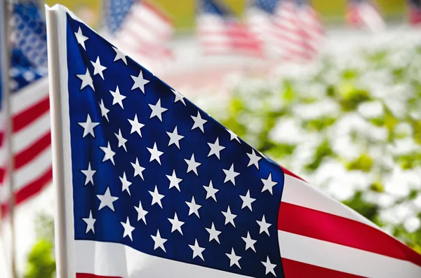 Fila di bandiere americane sul lato strada — Foto Stock