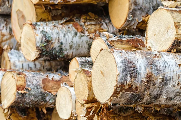 Montón de troncos de madera de abedul —  Fotos de Stock