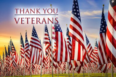 Amerikan bayrakları güzel sabah gökyüzüne karşı yeşil tarlada duruyor. Gaziler Günü görüntüsü.   