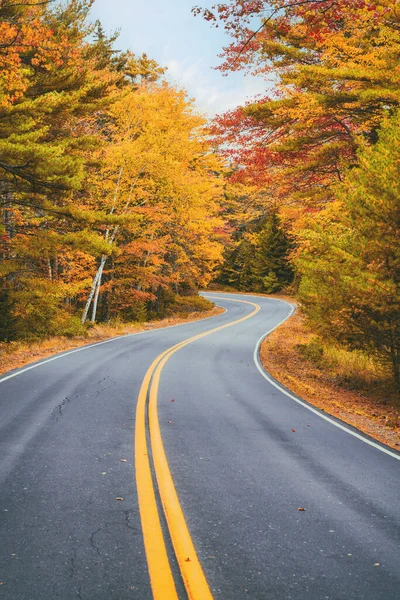 Virajlı Yol New England Daki Manzaralı Sonbahar Yaprakları Arasında Kıvrılır — Stok fotoğraf