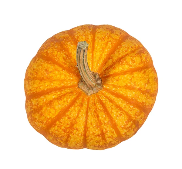 Egy Sparkler Pumpkin Első Látásra Fehér Alapon Elszigetelve — Stock Fotó